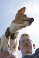 Basenji KSM Muenster 2014 (1124)